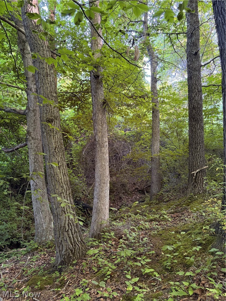Sykes Ridge Road Clarington OH 43915