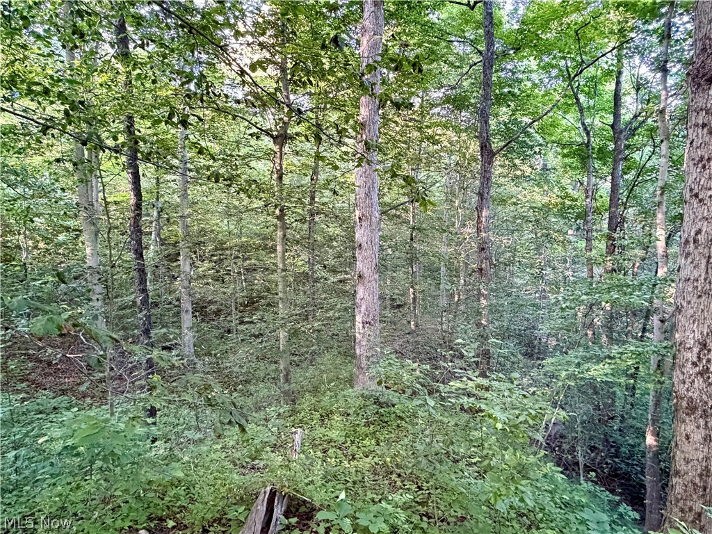 Sykes Ridge Road Clarington OH 43915
