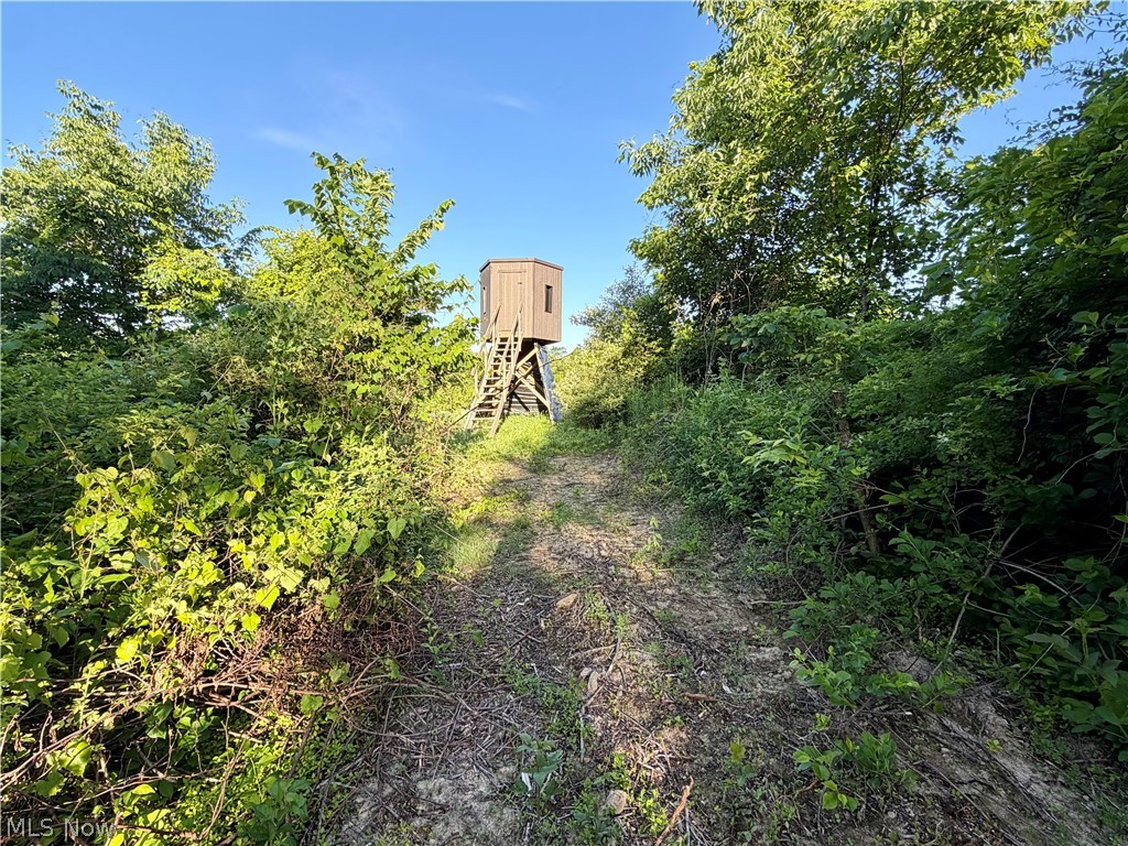 Sykes Ridge Road Clarington OH 43915