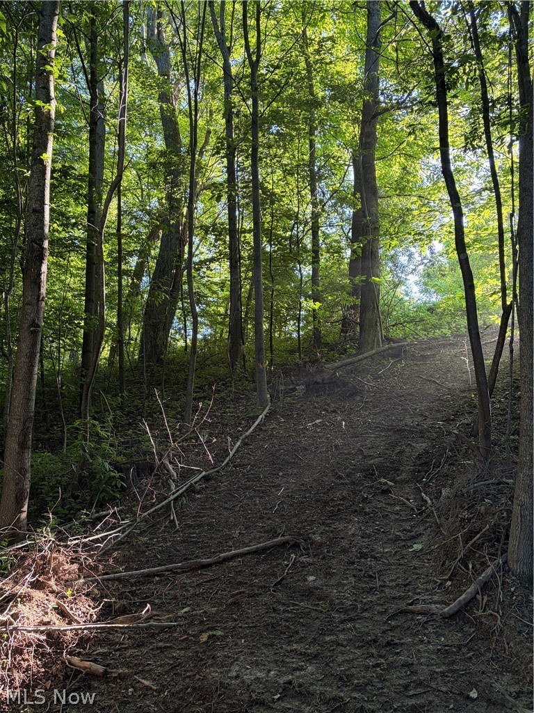 Sykes Ridge Road Clarington OH 43915
