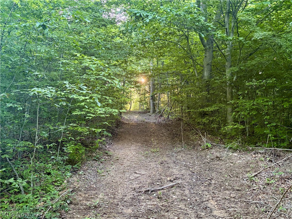 Sykes Ridge Road Clarington OH 43915