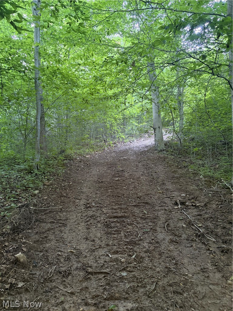 Sykes Ridge Road Clarington OH 43915