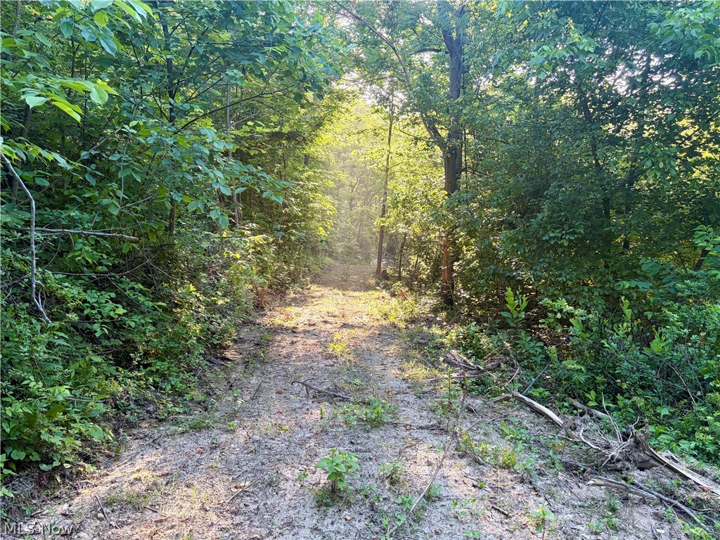 Sykes Ridge Road Clarington OH 43915
