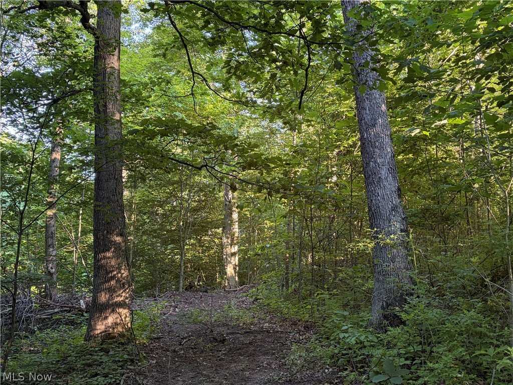Sykes Ridge Road Clarington OH 43915