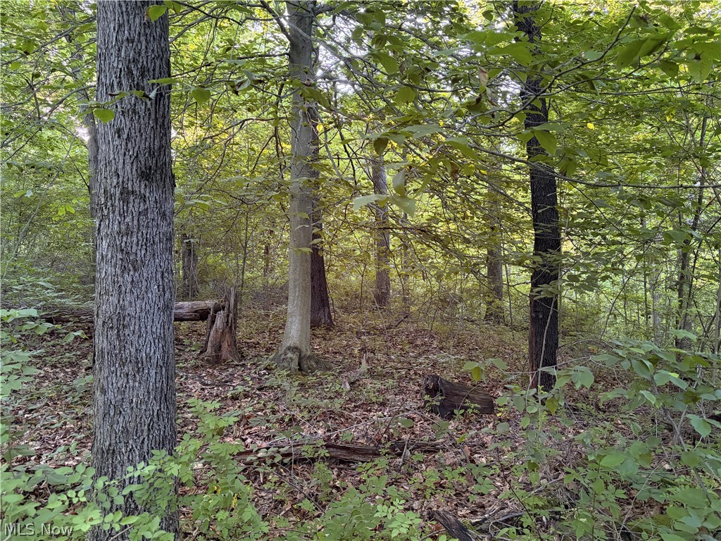 Sykes Ridge Road Clarington OH 43915