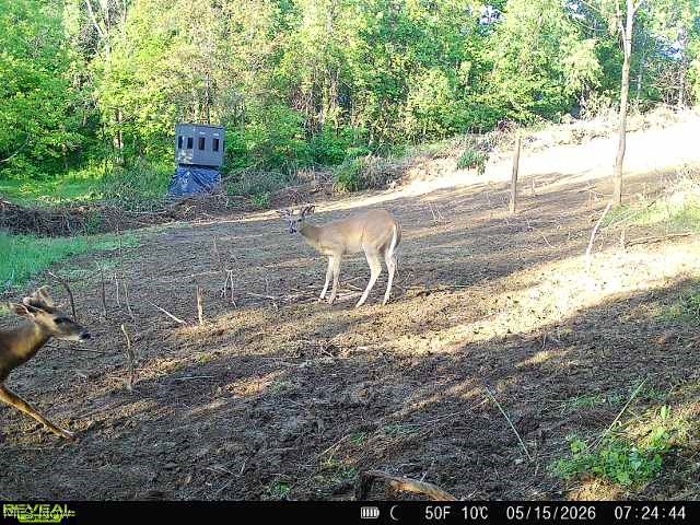 Sykes Ridge Road Clarington OH 43915