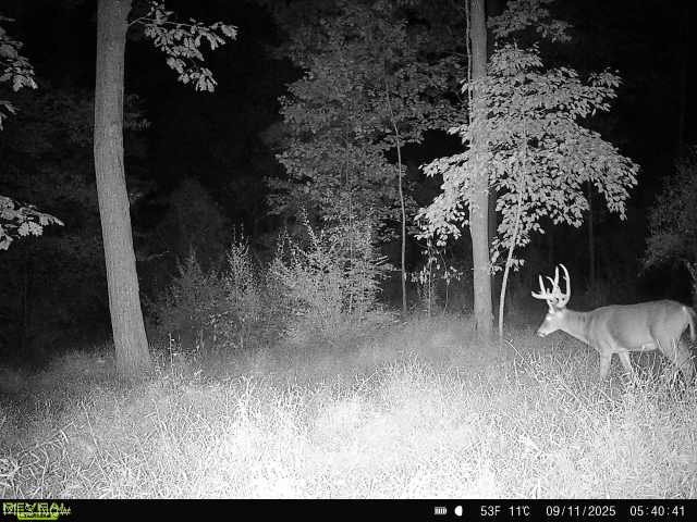 Township Road 282 Coshocton OH 43812