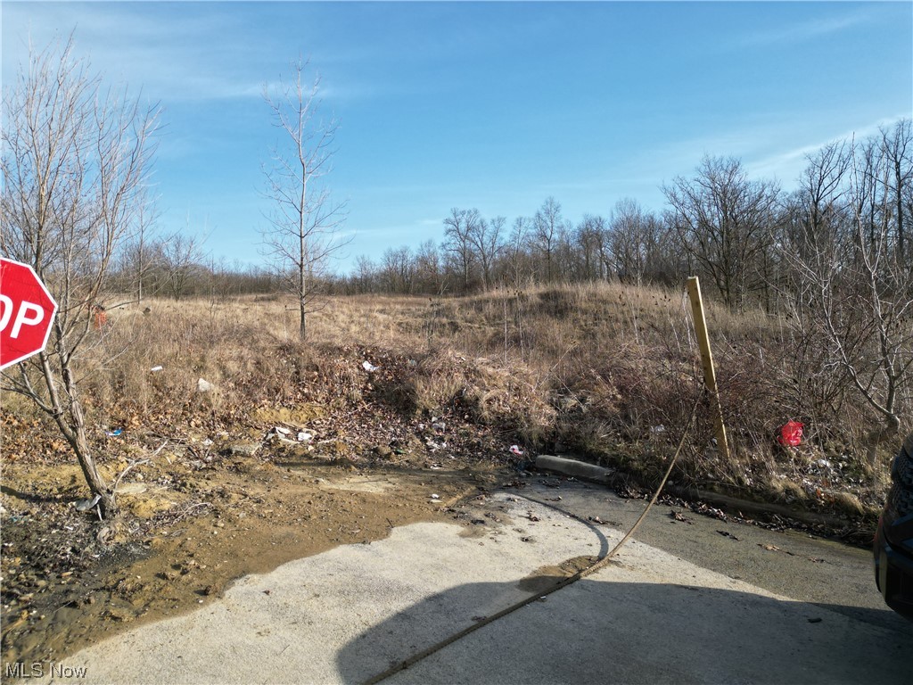 Niles Cortland Road Sr 46 Warren OH 44484