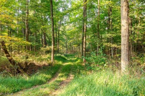 10772 Lawndell Road SW Navarre OH 44662