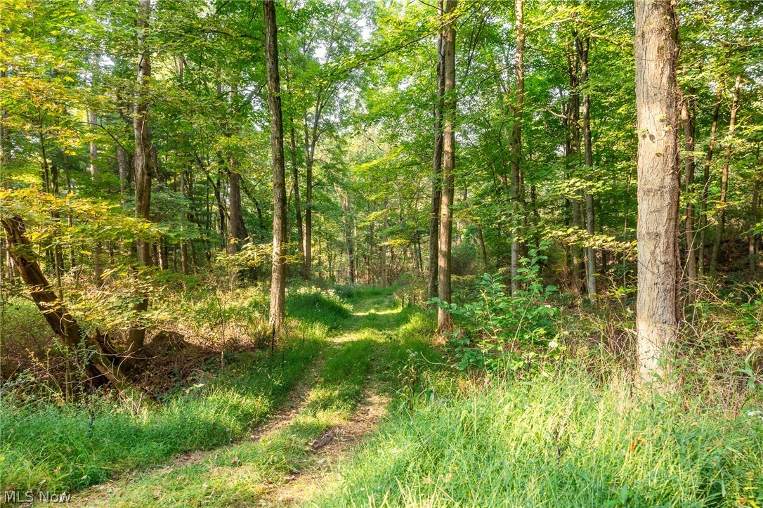 10772 Lawndell Road SW Navarre OH 44662
