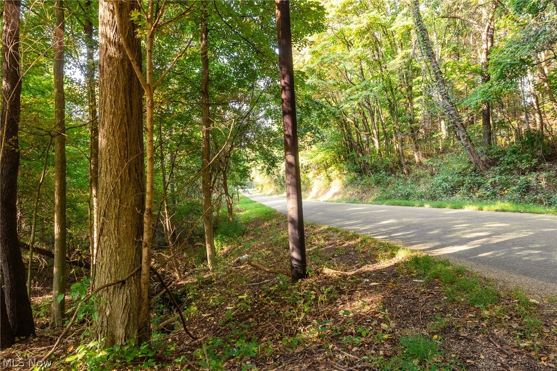 10772 Lawndell Road SW Navarre OH 44662