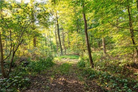 10772 Lawndell Road SW Navarre OH 44662