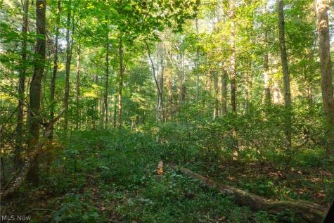 10772 Lawndell Road SW Navarre OH 44662
