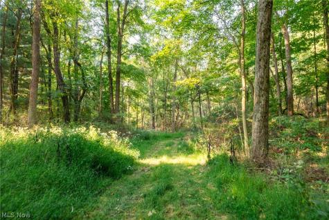 10772 Lawndell Road SW Navarre OH 44662
