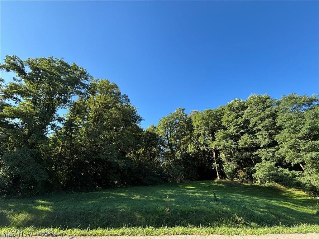 4872 Autumn Leaves Drive Akron OH 44333