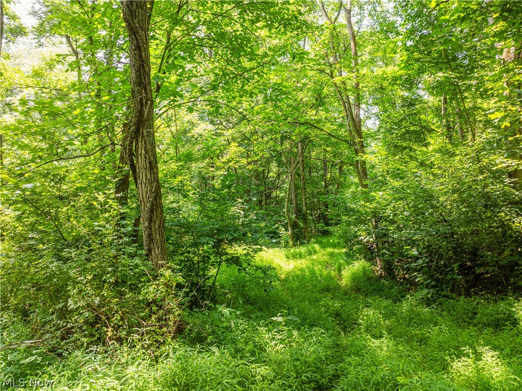 Lot 17 Township Road 51 Somerset OH 43783