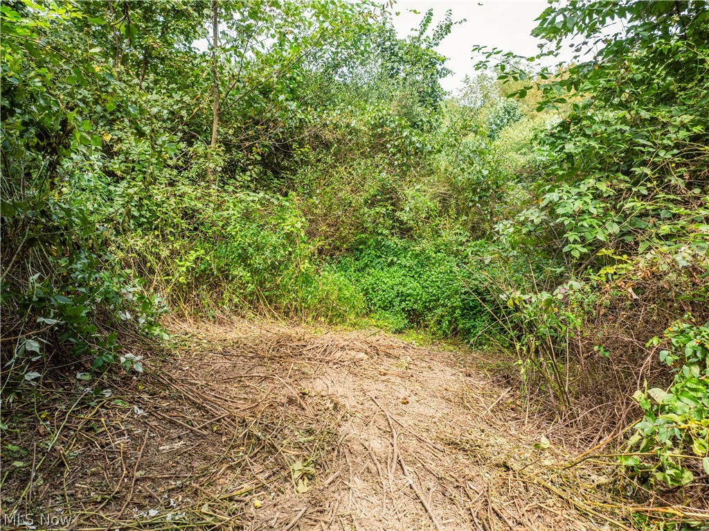 Luneman Road Scio OH 43988