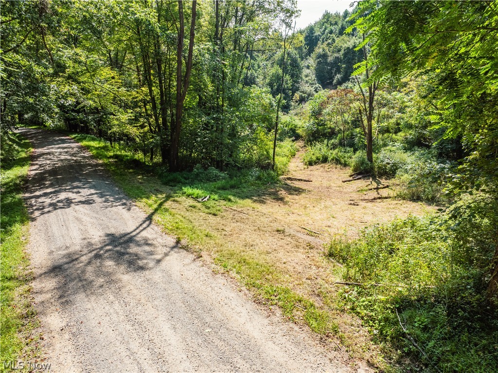 Luneman Road Scio OH 43988