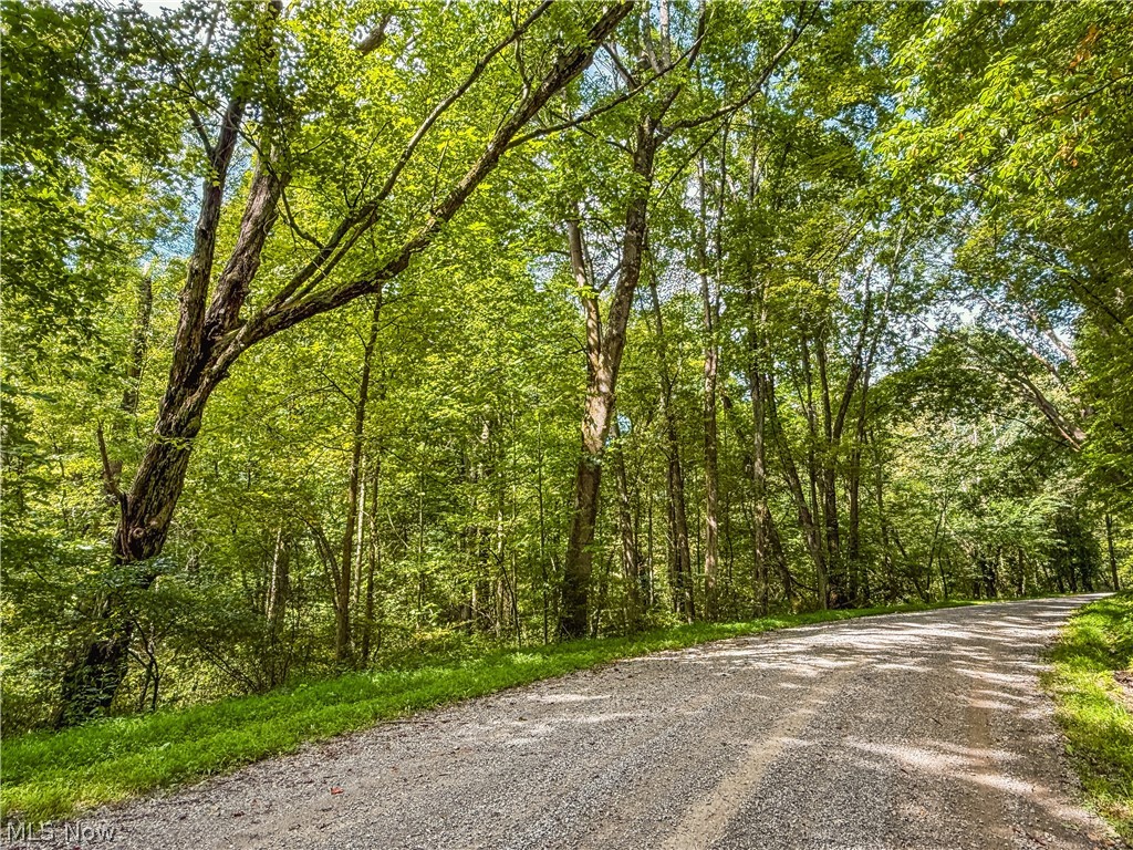 Luneman Road Scio OH 43988
