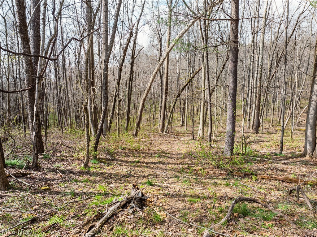 Township Road 389 Frazeysburg OH 43822