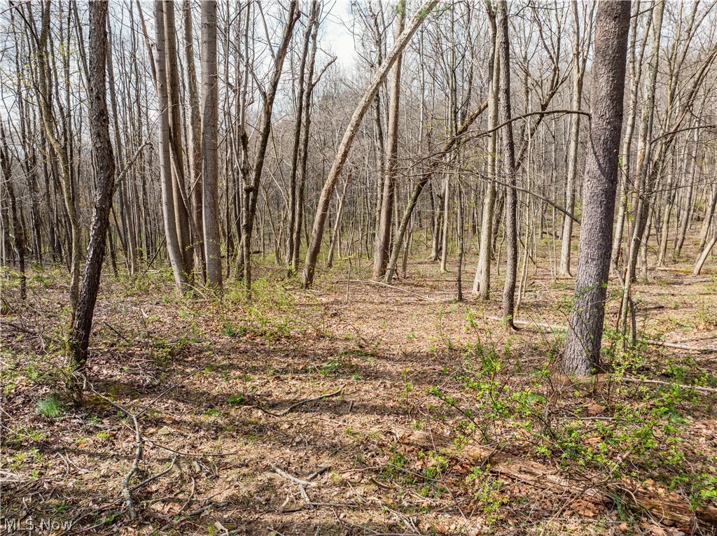 Township Road 389 Frazeysburg OH 43822