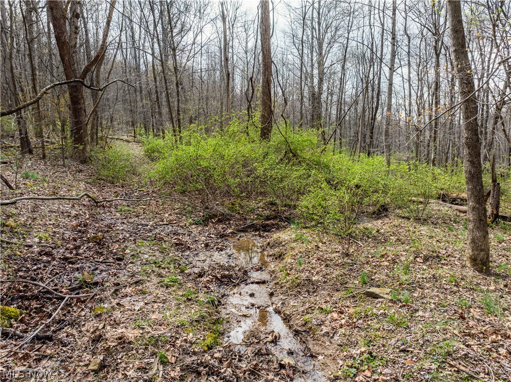 Township Road 389 Frazeysburg OH 43822