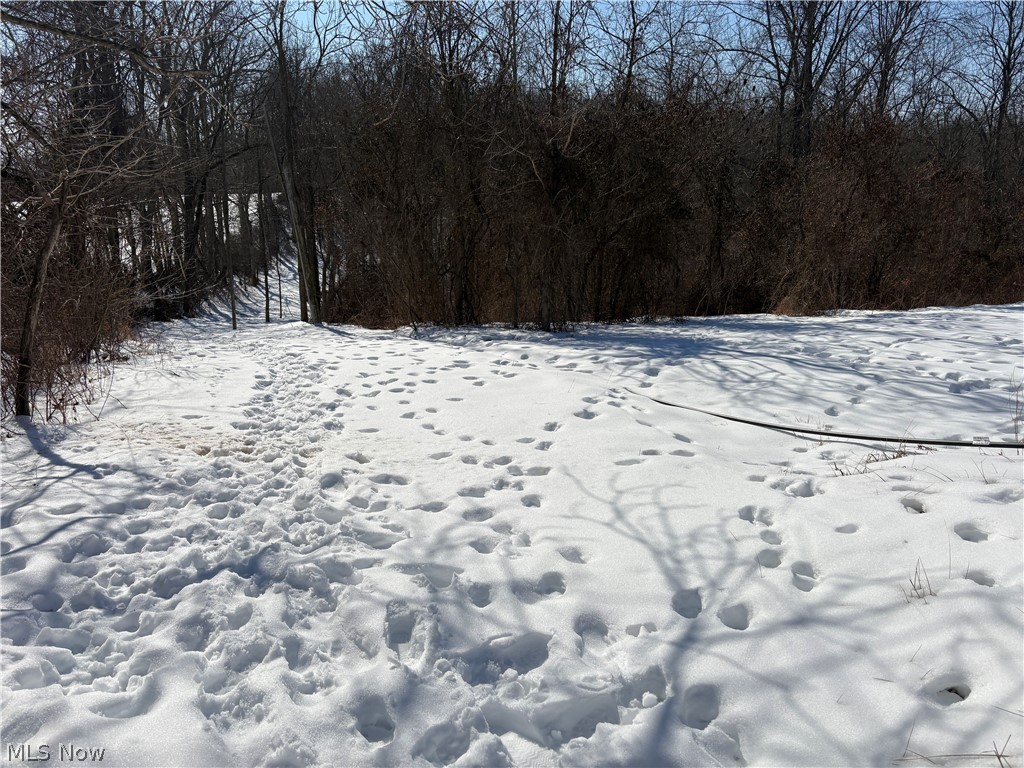 0 Tract 6 Winland Lane Graysville OH 45734