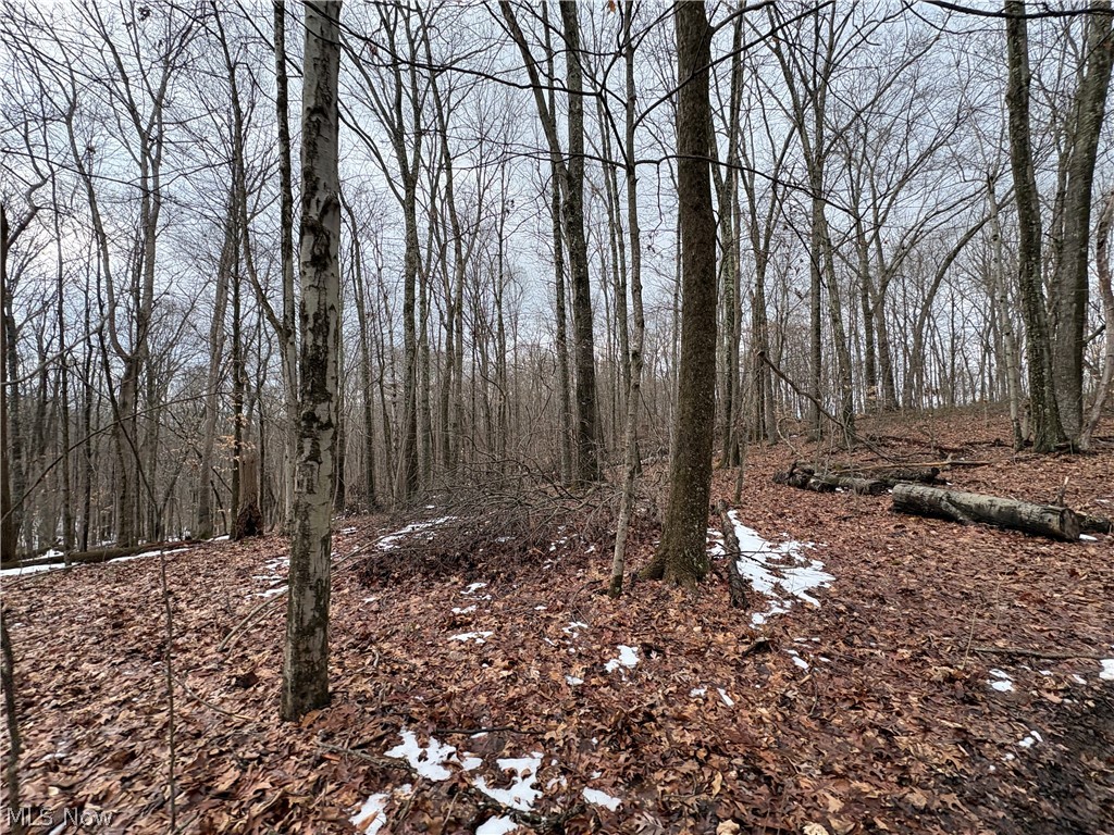 0 Tract 6 Winland Lane Graysville OH 45734