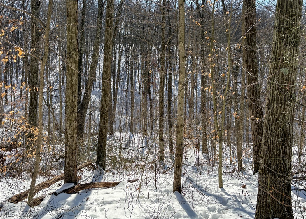 0 Tract 6 Winland Lane Graysville OH 45734