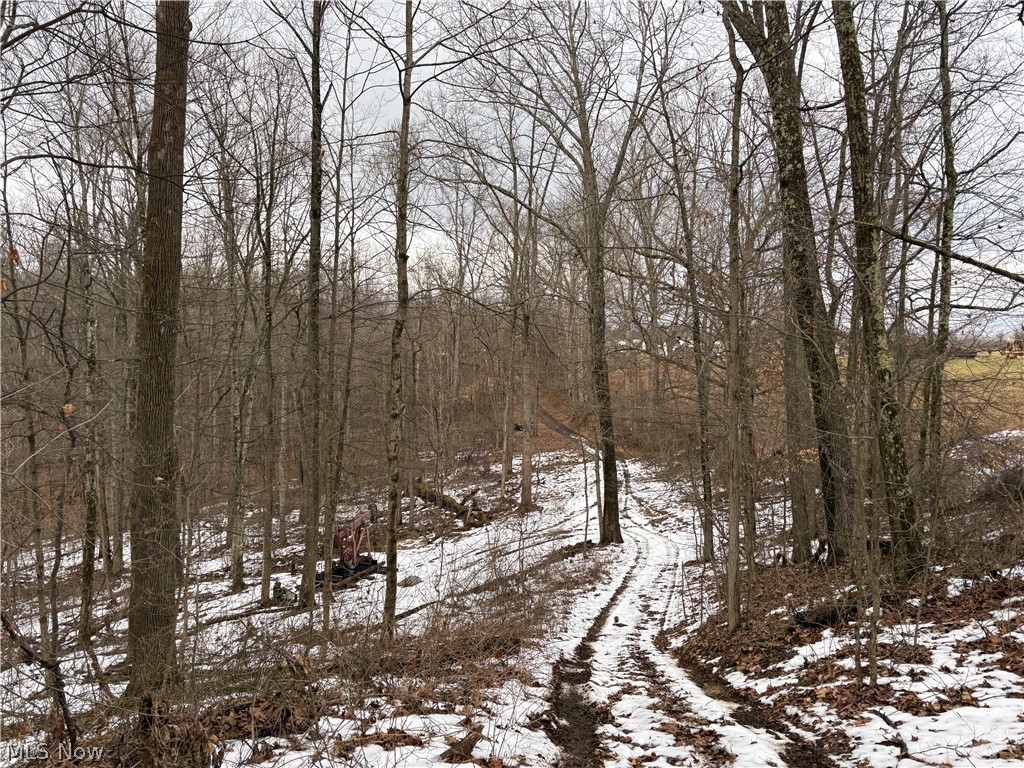 0 Tract 6 Winland Lane Graysville OH 45734