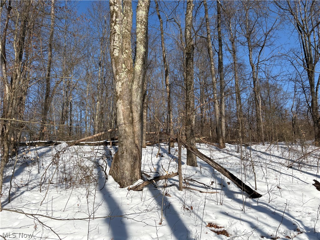 0 Tract 6 Winland Lane Graysville OH 45734