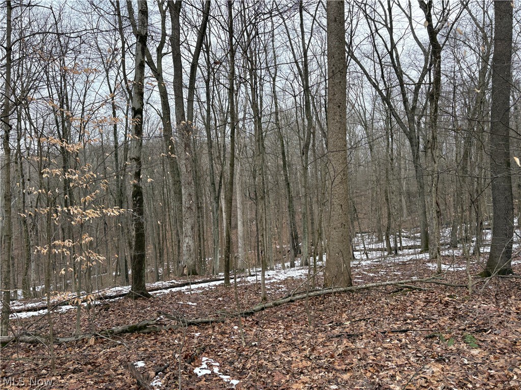 0 Tract 6 Winland Lane Graysville OH 45734