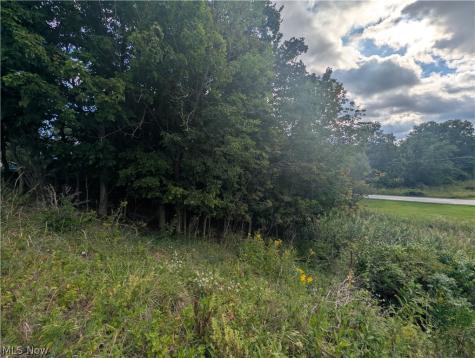 V/l Erie Road Eastlake OH 44095