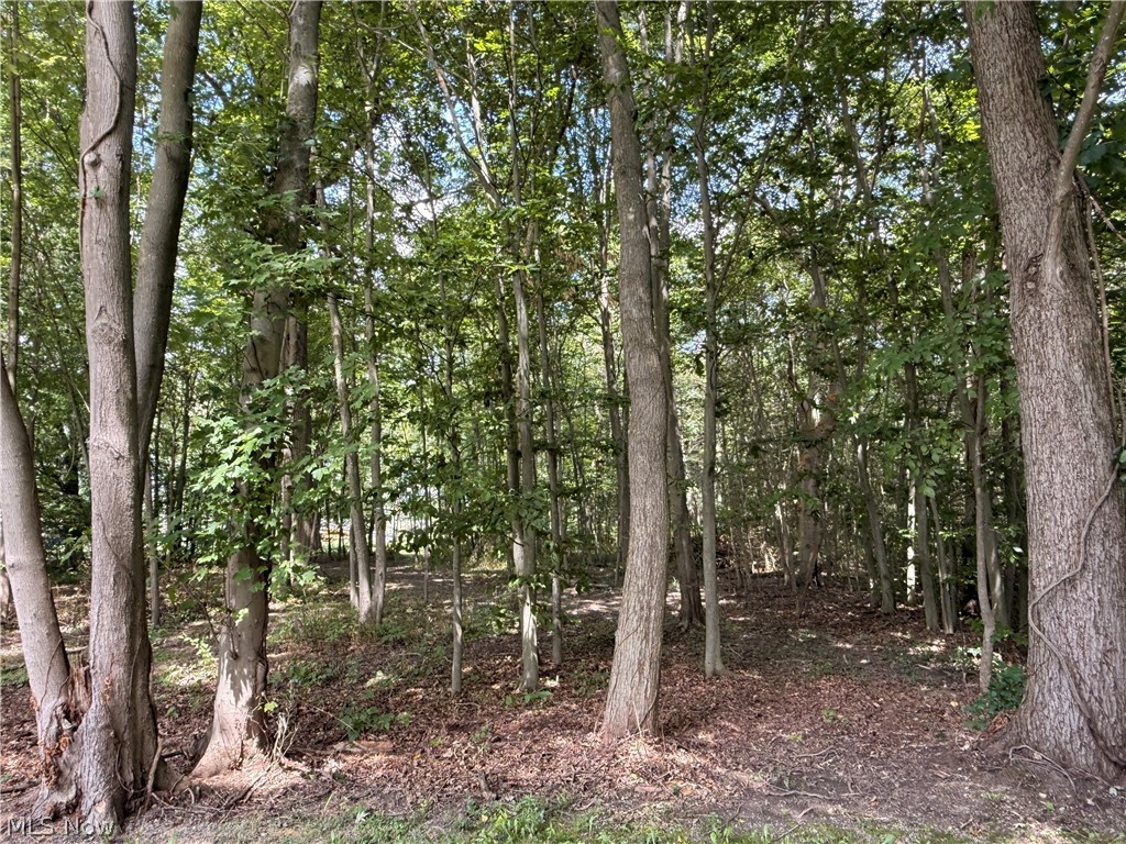 13545 Meadow Street NE Alliance OH 44601