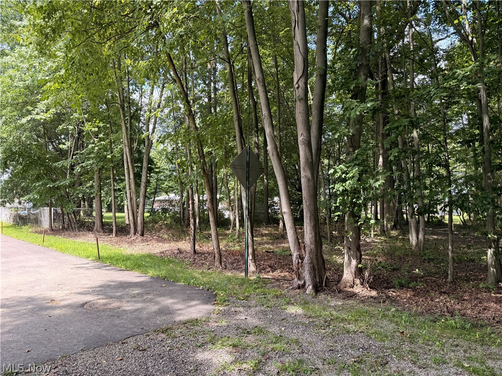 13545 Meadow Street NE Alliance OH 44601
