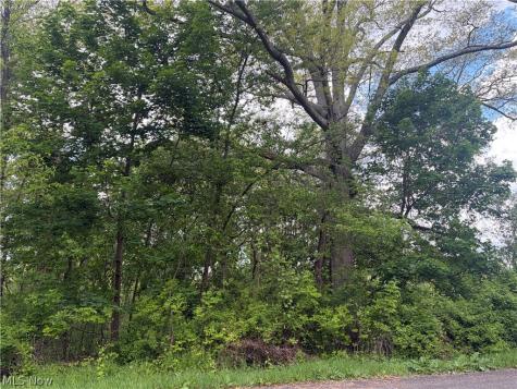 V/l Trenton Road Akron OH 44312