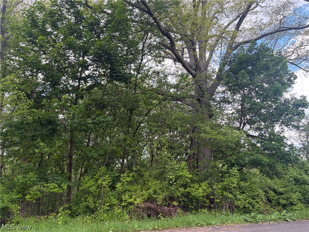 V/l Trenton Road Akron OH 44312