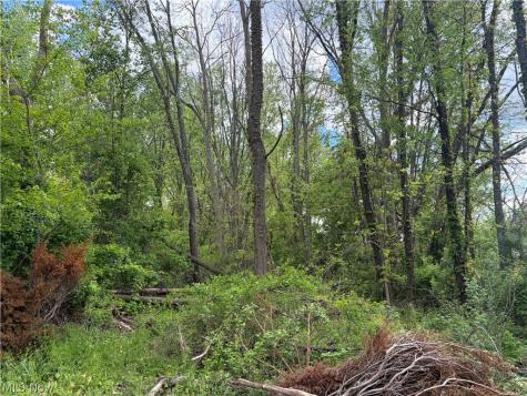 V/l Trenton Road Akron OH 44312