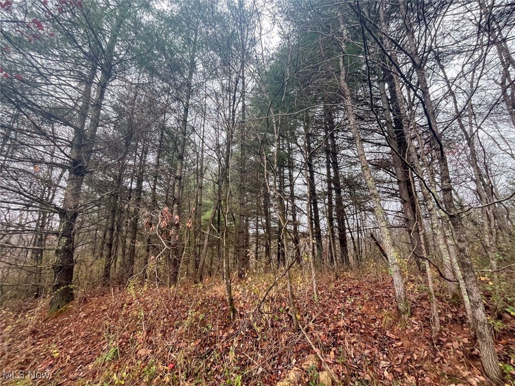 7714 County Road 14 Corning OH 43730