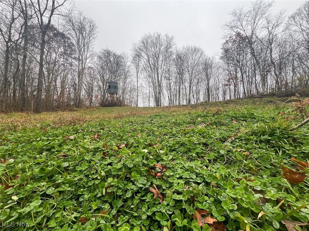 7714 County Road 14 Corning OH 43730