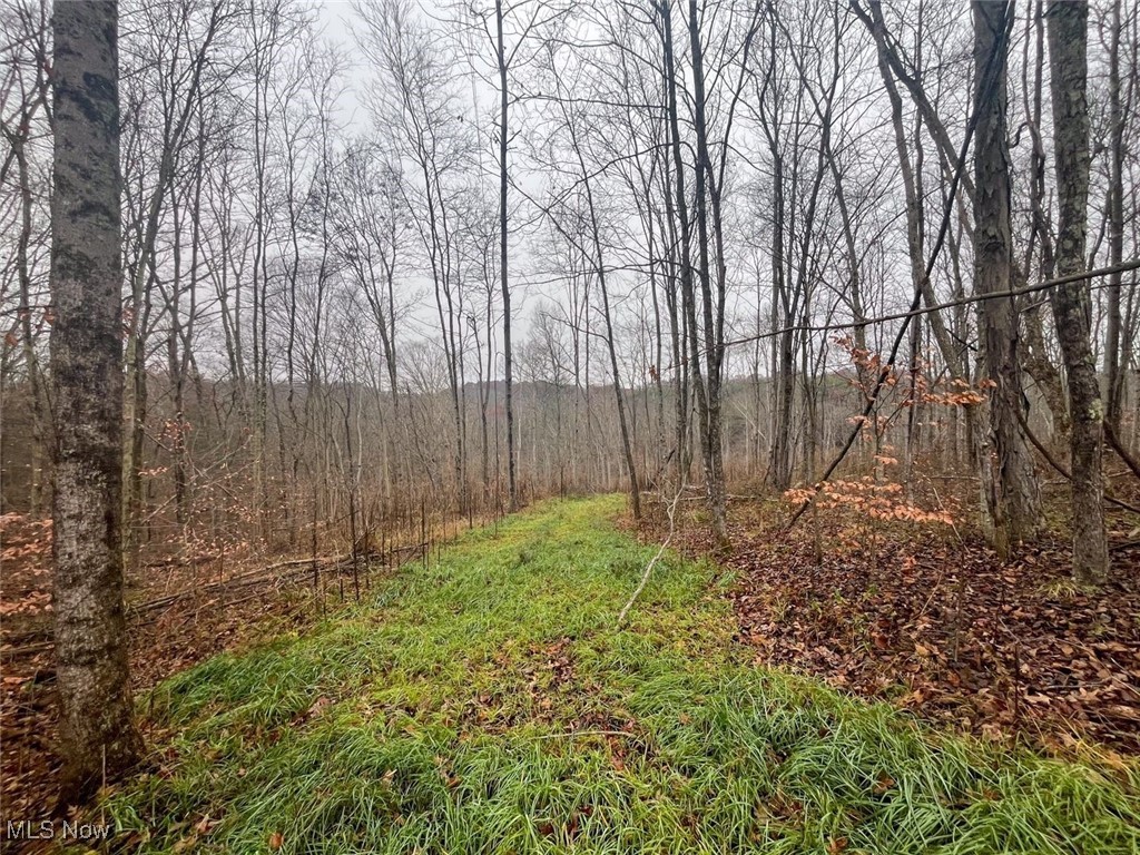 7714 County Road 14 Corning OH 43730
