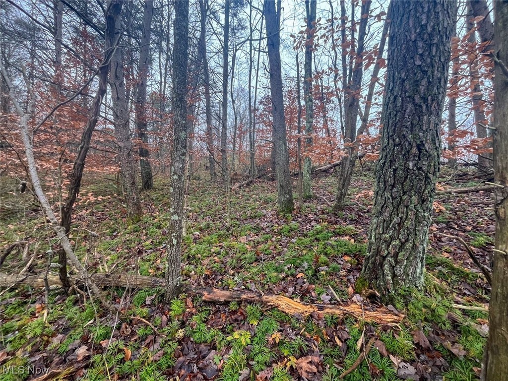 7714 County Road 14 Corning OH 43730