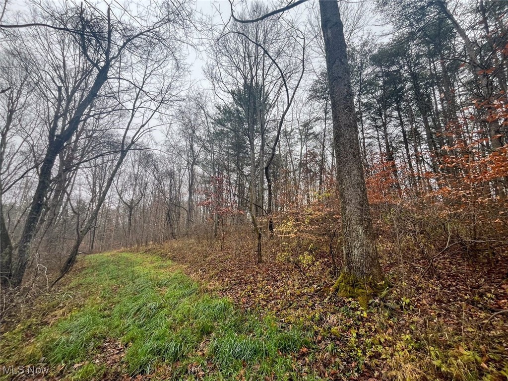 7714 County Road 14 Corning OH 43730