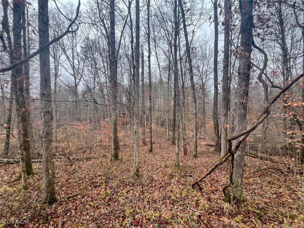 7714 County Road 14 Corning OH 43730