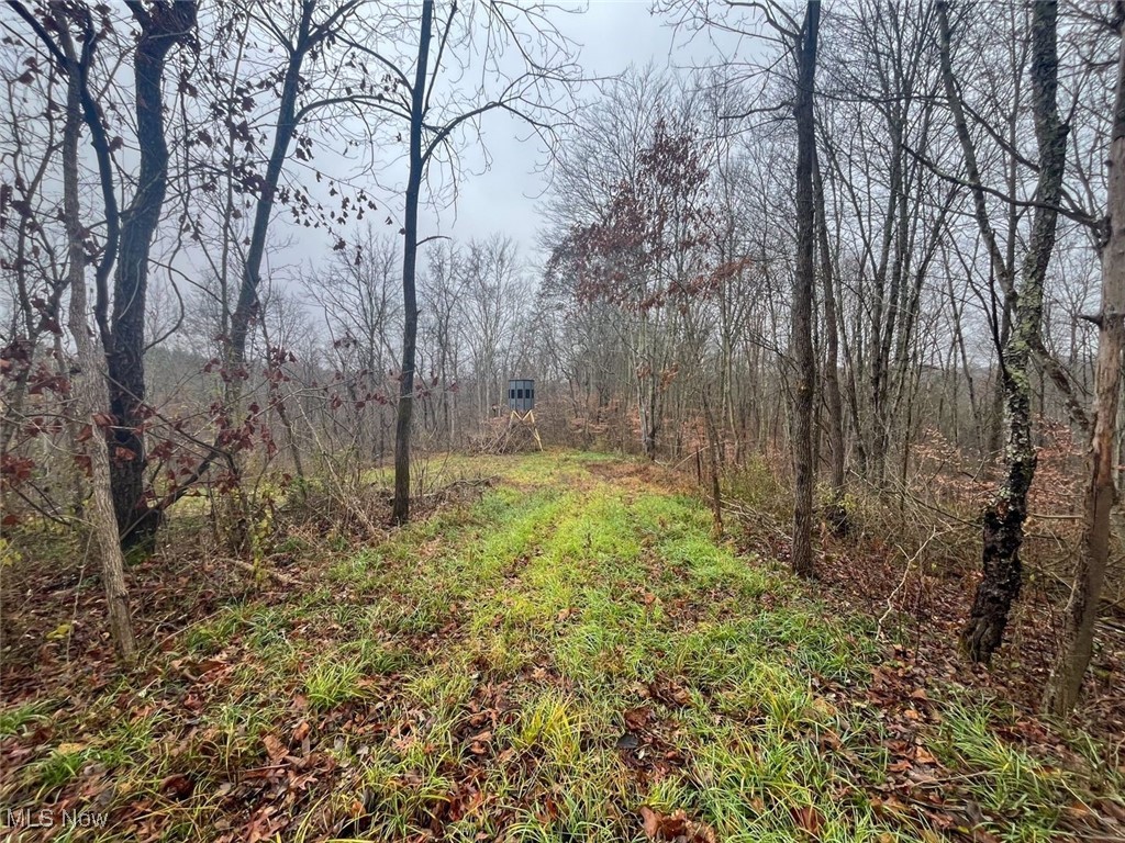 7714 County Road 14 Corning OH 43730