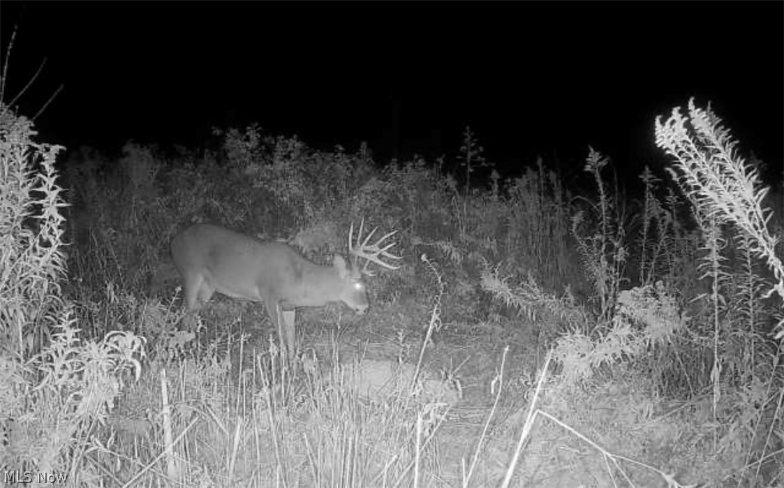 940 Parks Avenue SE Paris OH 44669
