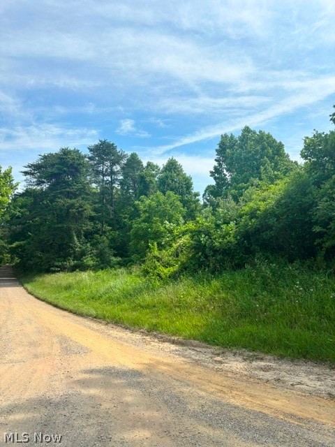E Side Hayman Road Long Bottom OH 45743