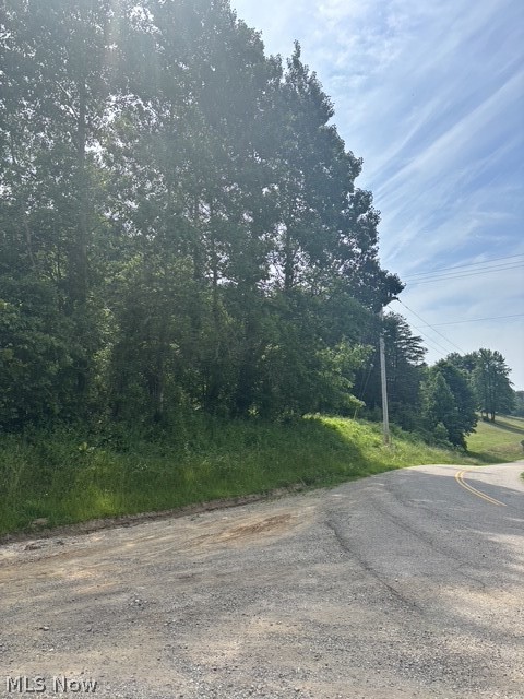 E Side Hayman Road Long Bottom OH 45743