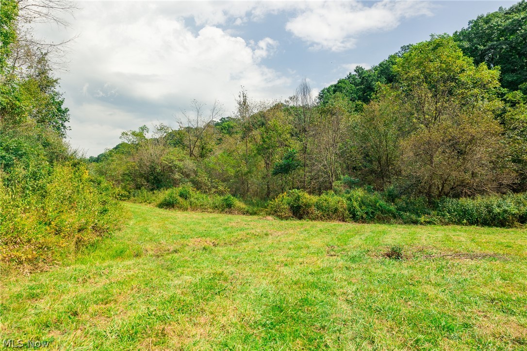 84134 Brewer Road Cadiz OH 43907
