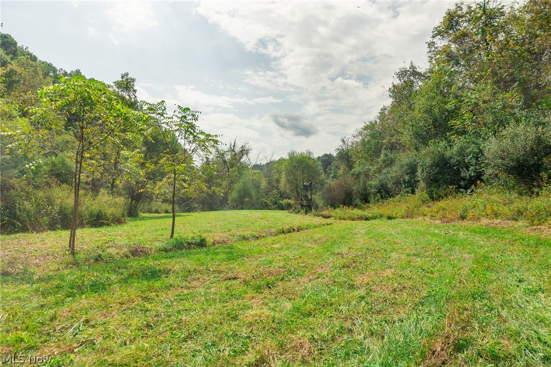 84134 Brewer Road Cadiz OH 43907